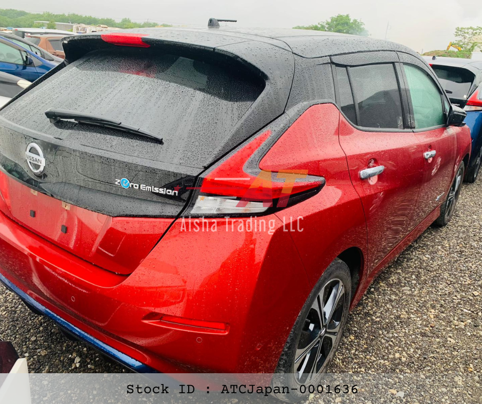 2019 Nissan leaf